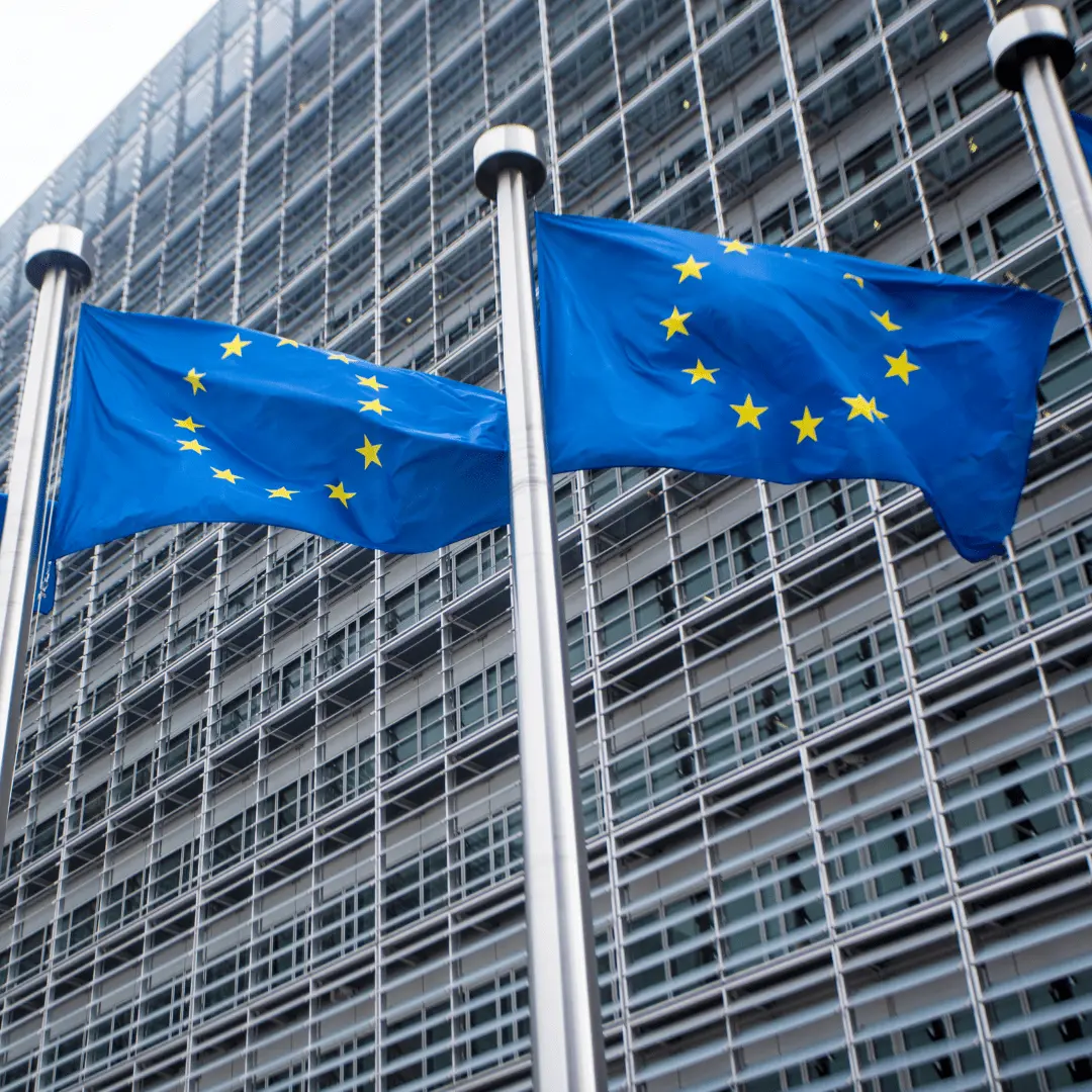 Exploring the Scope and Implications of the EU AI Act